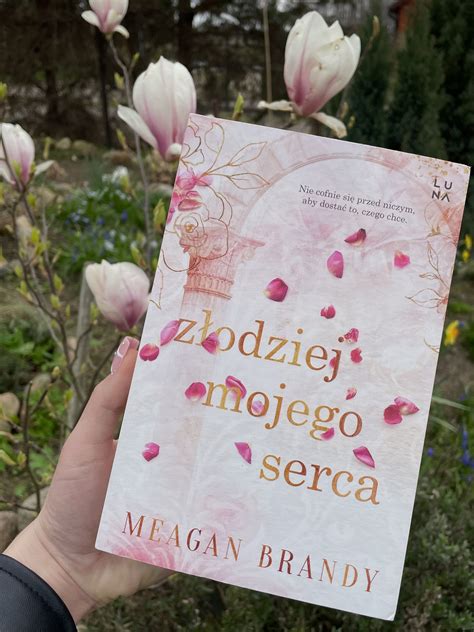 Recenzja Megan Brandy Złodziej mojego serca Polacy nie gęsi