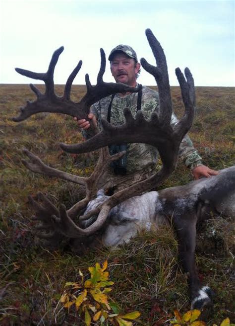 Alaska Caribou And Grizzly Bear Hunting Alaska Arctic Adventures