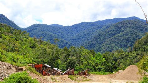 Hutan Lindung Yang Rusak Itu Mulai Direstorasi Mongabay Co Id