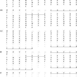 | Alternative splicing isoforms sequences. The underline amino acids ...