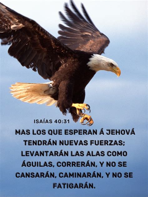 Isa As M S Lo Que Esperan A Jehova Tendran Nuevas Fuerzas Frases Pw