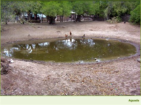 Agua Estancada O Complejo De Corcho