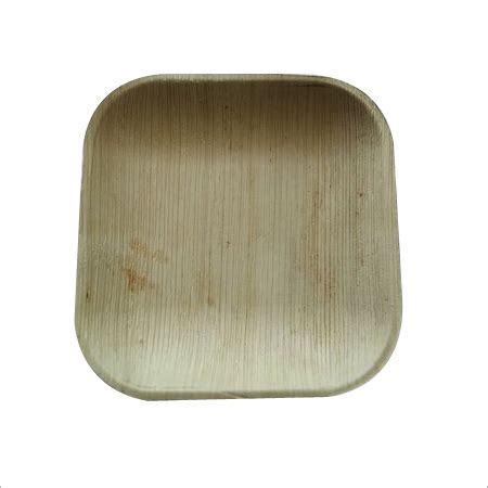 Areca Leaf Plate Square 6 Inch Shallow At Best Price In Mumbai