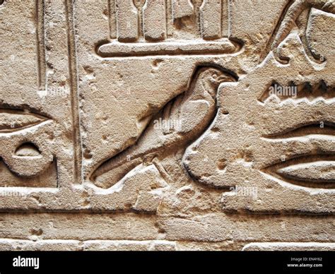 Hieroglyph Bird Hi Res Stock Photography And Images Alamy