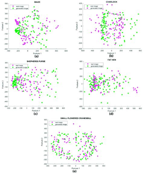 T Sne Visualization Plots For Real Blue Points And Synthetic Red