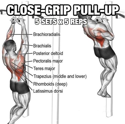 Close Grip Pull Up