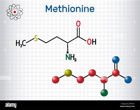 Methionine L Methionine Met M Essential Amino Acid Molecule