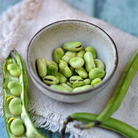 broad bean, dill and mozzarella fritters – The Circus Gardener's Kitchen