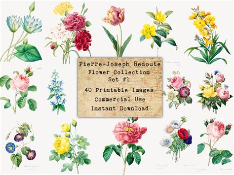 40 REDOUTE FLOWERS SET 1 Digital Collage Sheets Flowers Vintage Cards