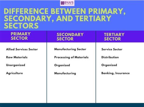 Essential Economic and Service Sector - AlainaaxMontgomery