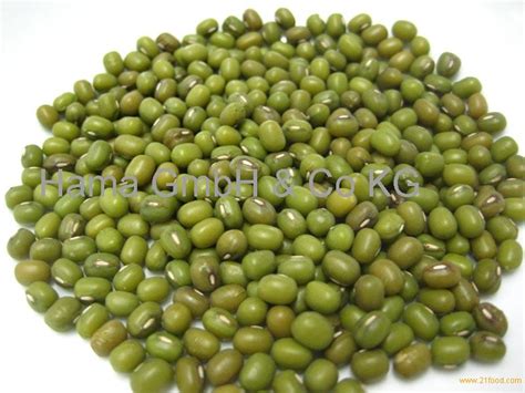 Fresh Green Mung Beans For Sale Germany Green Mung Beans Price Supplier