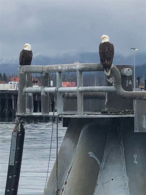 Seward Boat Harbor in Seward - Tours and Activities | Expedia