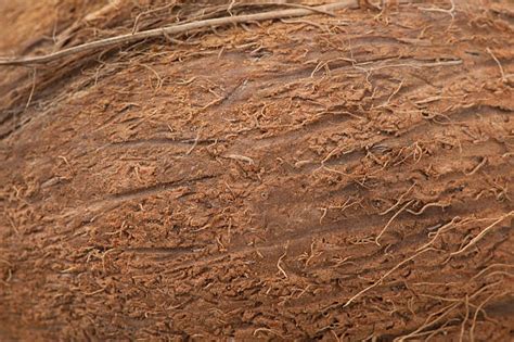 Coconut Texture Stock Photos Pictures And Royalty Free Images Istock