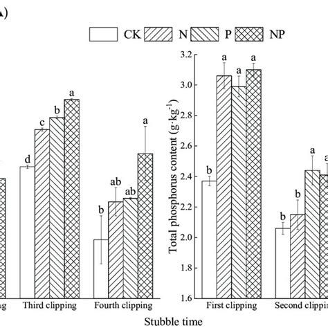 Effect Of Nitrogen And Phosphorus On Total Nitrogen And Total