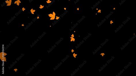 Autumn leaf falling animation for wedding video. Looped falling ...