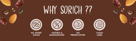 Sorich Organics Multigrain Energy Protein Bars Chocolate Chunk Pack Of