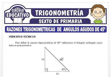 Razones Trigonométricas De Ángulos Agudos De 45° Para Sexto De Primaria Fichas Gratis