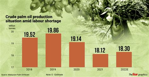 uncertainty  rise  cpo output  star