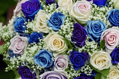 Blue and Purple Roses Bouquet · Creative Fabrica