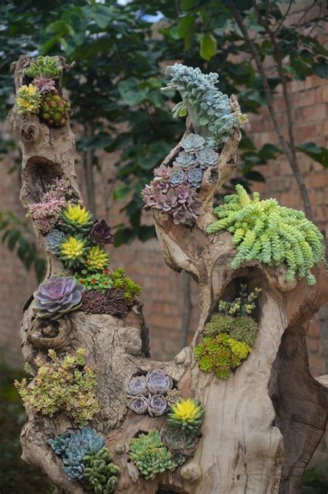 30 Ideas Geniales Y Originales Para Un Jardín Vertical De Suculentas