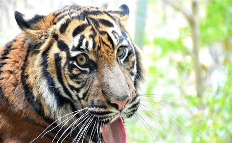 「よこはま動物園ズーラシア」がすごい！現地取材で分かったファミリーに愛される魅力とは