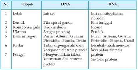 Perbedaan DNA dan RNA dalam tabel? - perbedaanantara.com