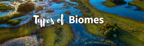 Unveiling Earth's Wonders: 26 Types of Biomes Explored