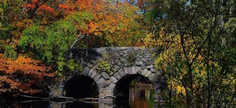 Our Muddy River - Muddy River Restoration Project