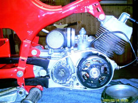 Restauration Der Simson Vogelserie Spatz