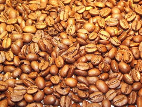 Mr. Green's Coffee Beans – Roasted Locally