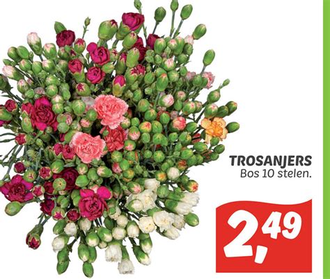 Trosanjers Aanbieding Bij Dekamarkt