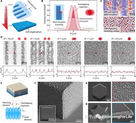 Science Advances3D打印纳米皱纹结构新范例飞秒激光直写诱导水凝胶热响应组装策略 知乎