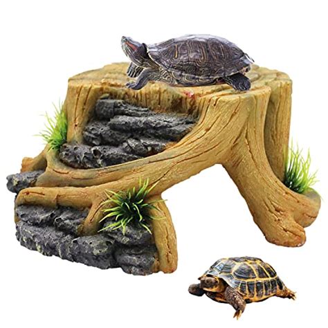 Turtle Basking Platforms For Large Turtles A Complete Guide