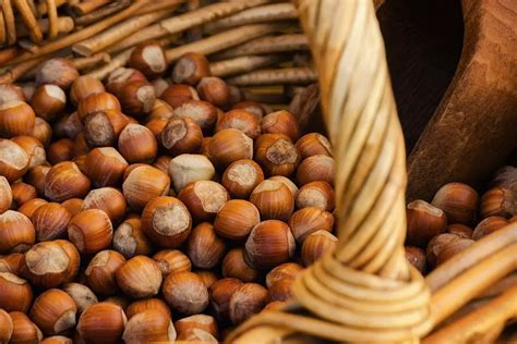 Levento Che Non Ti Aspettavi La Sagra Della Nocciola A Prepezzano