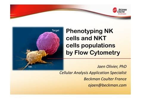 Phenotyping Nk Cells And Nkt Cells Populations By Flow Cytometry