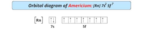 Americium (Am) - Periodic Table [Element Information & More]