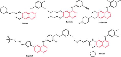 Fda Approved Quinazoline Derivatives As Anticancer Drugs Download Scientific Diagram