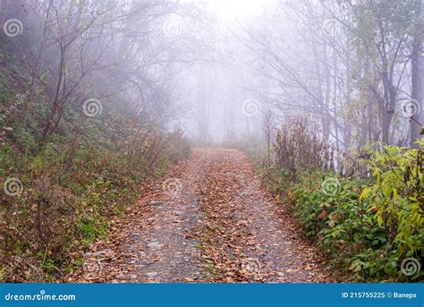 Mountain Pathway On A Hazy Day Stock Image Image Of Wood Mysterious