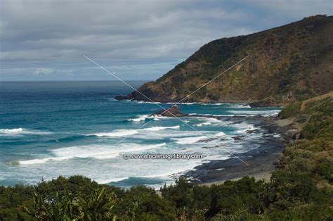 Photos And Pictures Of Silaka Nature Reserve Port St Johns Wild