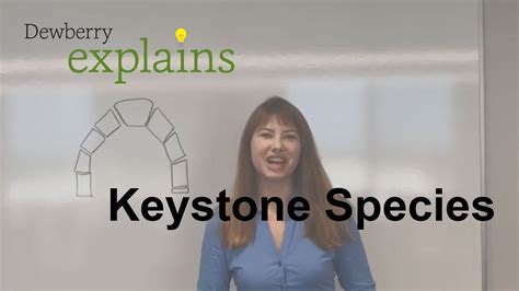 How To Identify A Keystone Species