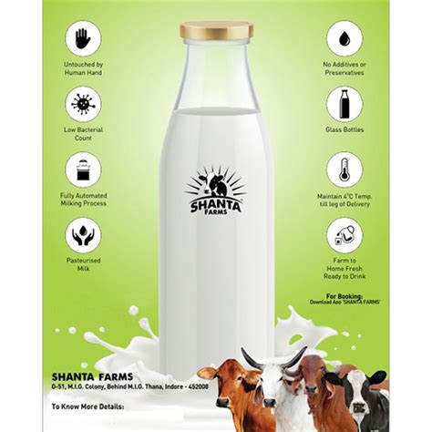 Original Organic Cow Milk at Best Price in Indore | Shanta Tradexim ...