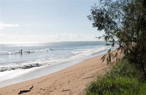 Hit The Beaches Early For Best Results Bundaberg Now