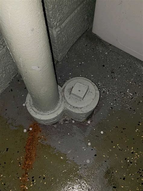 How To Install A Toilet In Basement Floor – Flooring Ideas