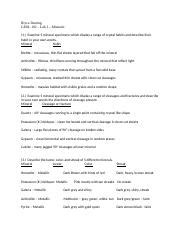 Bryce Deering Geol Lab Docx Bryce Deering Geol Lab