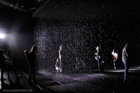 The LACMA Rain Room - Los Angeles - Local Adventurer