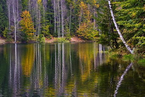 Râuri și lacuri Ioan Todor Natura si fotografie