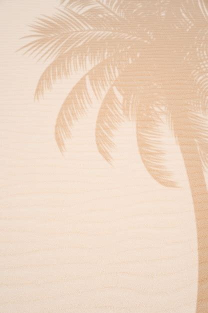 Premium Photo Tropical Beach Sand With Shadows Of Palm Tree Leaves In