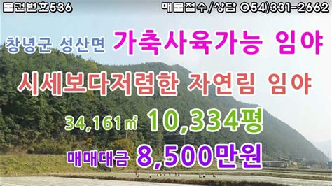 물건번호536 경남 창녕군 성산면 국도200m길게 접 관리지역준보전산지약3천평가량그외 농림지역 남서향 벌채가능 가축사육