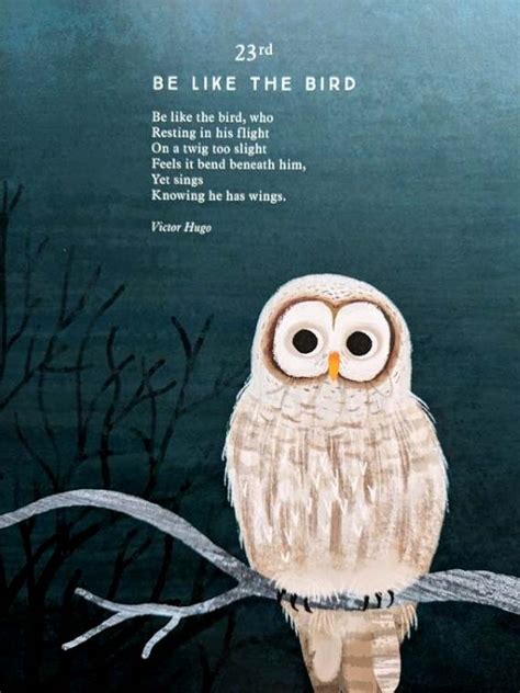 Illustrated Owl Poem From The Kids Anthology I Am The Seed That Grew