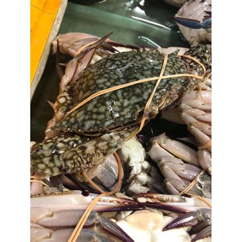 Ipoh Seafood Female Flower Crabs Kg Ketam Bunga Betina Gm